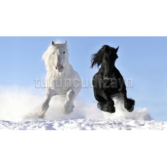 Siyah ve Beyaz At Baskılı Duvar Kağıdı 271299220